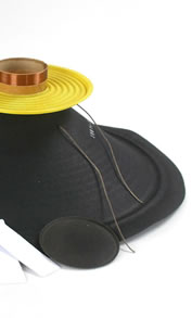 Recone kits pour réparer les haut-parleurs Celestion guitares