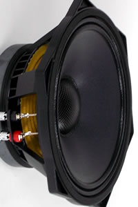 Haut-parleurs PHL Audio diamètre 25 cm / 10 pouce
