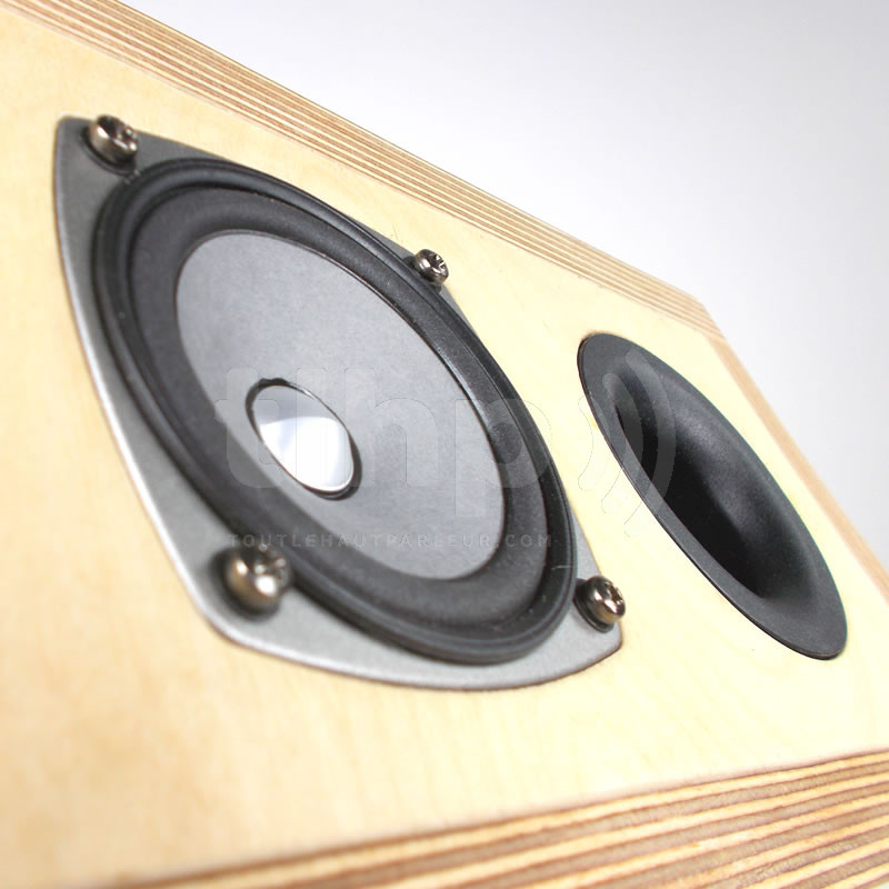 Kit enceinte large-bande Fostex FF85WK avec kit ébénisterie et haut-parleur