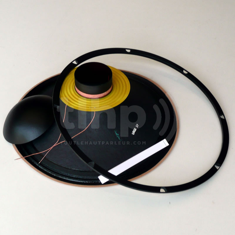 Colle spéciale haut-parleur hifi, tube comprenant 20 mL de colle