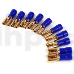 Lot de 10 cosses Fast-on 6.3 mm femelle plaqué or, isolant bleu, pour conducteur de 1.5 à 2.5 mm²