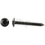 Lot de 100 vis à bois noire 4.0 mm, longueur 32 mm, tête bombée