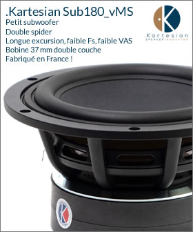 Subwoofer 18 cm haute fidélité fabriqué en France