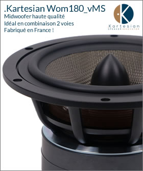 Haut-parleur mid-woofer haute qualité Kartesian Wib120_vHE