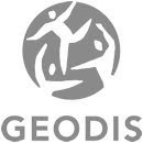 Delivery by Geodis in pallets