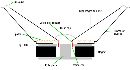 Les différentes parties composants un haut-parleur à cône